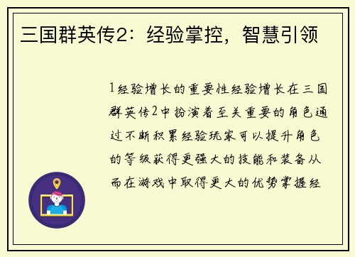 三国群英传2：经验掌控，智慧引领