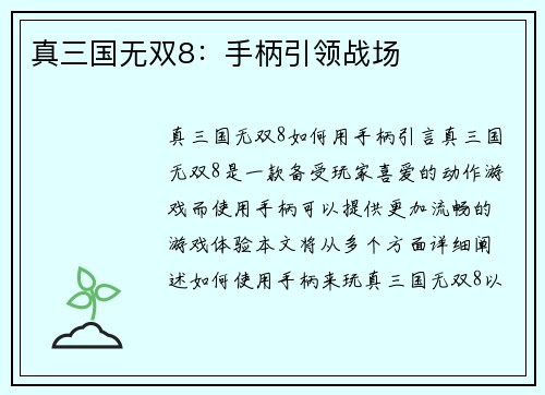真三国无双8：手柄引领战场